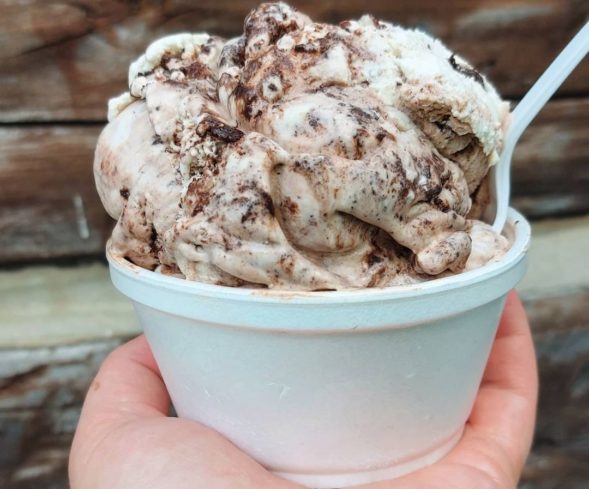 A bowl of Kawartha Dairy's Moose Tracks ice cream being held up in front of the Snackery