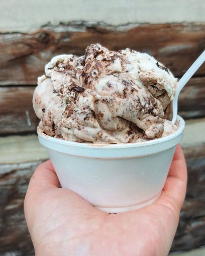 A bowl of Kawartha Dairy's Moose Tracks ice cream being held up in front of the Snackery